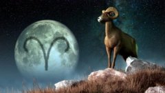 12星座的定位
