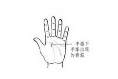 手相算命之十大手相富贵纹