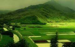 江北哪个风水专家看咖啡厅风水更好