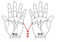 掌纹图解:史上最罕见的手相掌纹图解大全!