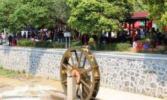 旺财风水怎么摆放?