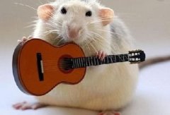 有这4大特征，财运亨通、好运连连