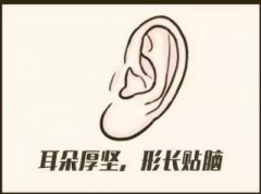 耳朵在面相中代表什么含义?