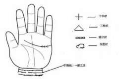 事业上易有成就的手相特点