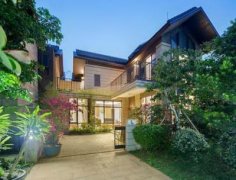 房子前面种什么树好?