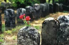农村坟地风水知识有哪些?