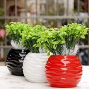 茶几摆放还有风水之说