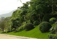 别墅设计烟囱位置风水