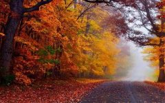 重庆江北哪个风水专家看餐厅风水口碑好