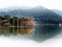 属狗人购买的房屋坐向风水