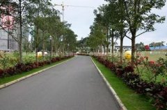 酉阳哪个风水改运大师看盖房子风水厉害？