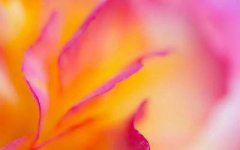 重庆南川专业的风水大师哪个非常有名气