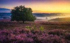 重庆巫溪专业的命理大师有哪些