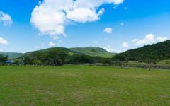 璧山本地风水改运大师哪个口碑最好