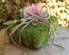 家门口种龙骨树风水好吗?