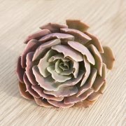 农村院子设计形状风水禁忌