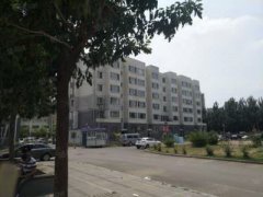 属鸡人购房风水禁忌