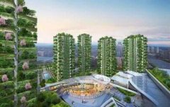 楼顶养乌龟有风水作用吗