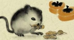 属鼠人搬家风水禁忌