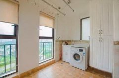 风水知识之家居风水植物篇