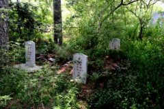 重庆黔江哪个易经风水大师看阴宅风水最有名