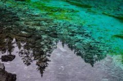 涪陵本地八字算命先生哪个最好