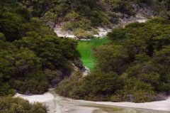 大足有水平的风水先生谁口碑最好