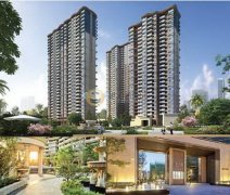 重庆彭水哪有看楼层的风水玄学大师