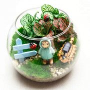 风水鱼缸摆放禁忌大全