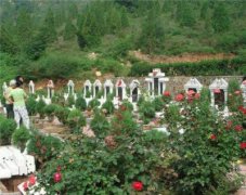 墓地朝向风水大全