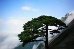 西南地区好的阴宅风水大师哪个好