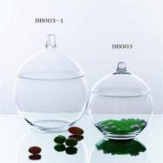 家里小鱼缸讲风水吗?