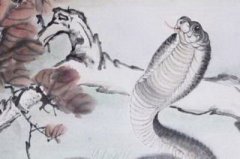 属蛇人的命格解析