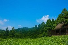 靠谱的堪舆大师哪个更好