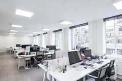 属马的办公室植物摆放