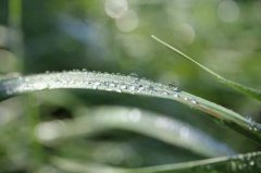 成都出名风水师傅谁口碑最好