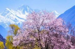 哪个易经风水大师看面馆风水口碑好