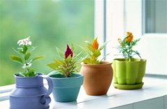 楼梯对厅风水好吗?