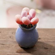 家里摆放葫芦的风水说法