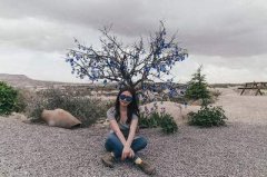 哪个风水老师看洋房风水更好