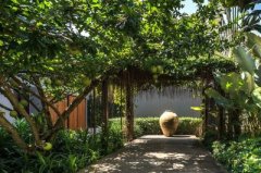 农村庭院鱼池风水讲究