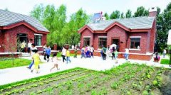 庭院栽柿子树风水好吗?