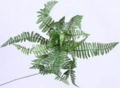 居家风水家中养几盆花好?