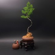 假山石头民间风水禁忌