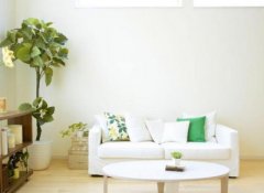 风水招富贵桃花位