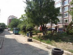 庭院栽什么植物风水好?
