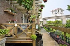 露台植物的风水禁忌