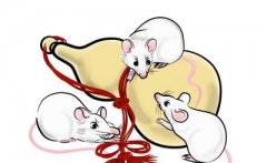 哪些风水吉祥物可以保平安?