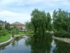 农村家庭不和睦是什么风水原因有哪些?