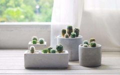 家中镜子、植物摆放的风水禁忌